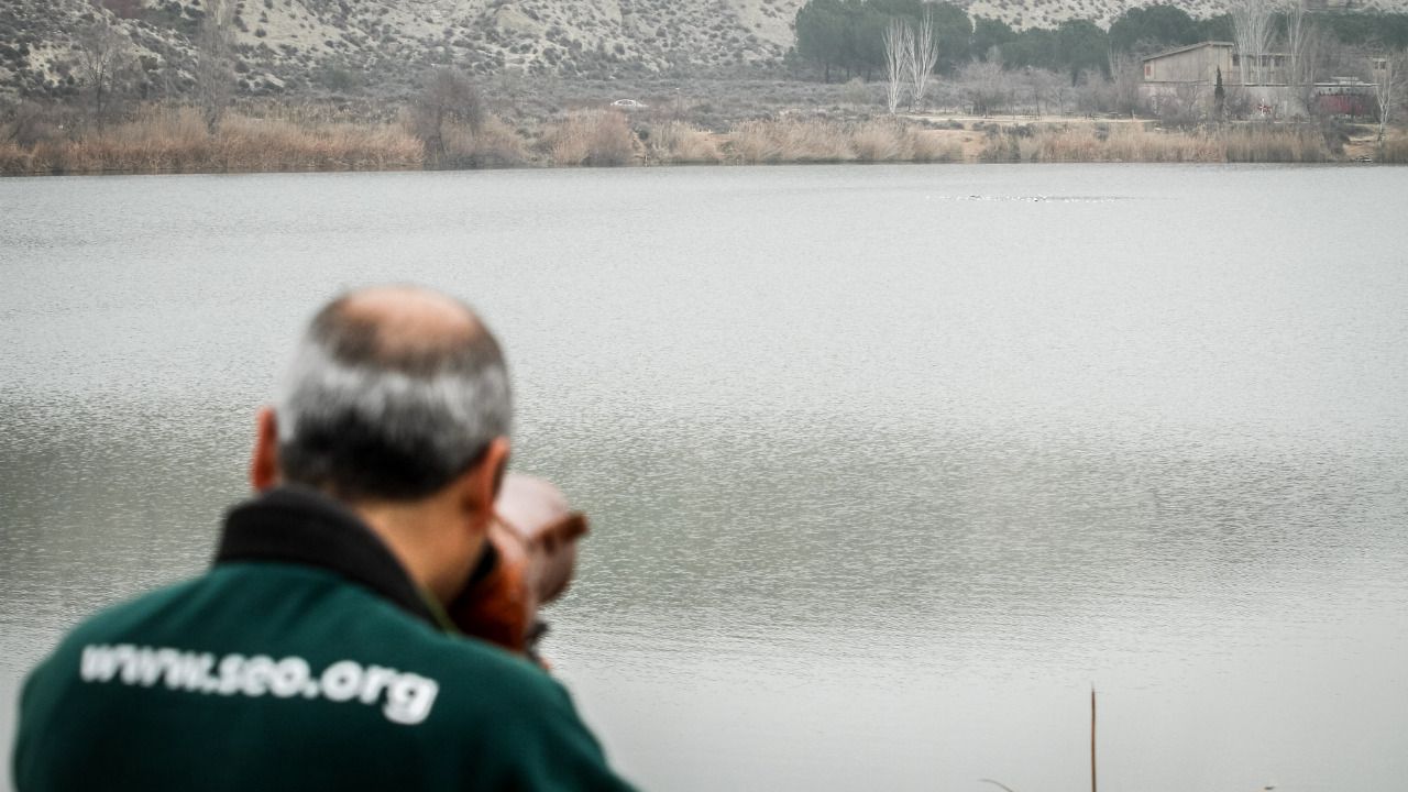 Un técnico de Seo Bird Life sacando fotografías en un humedal
