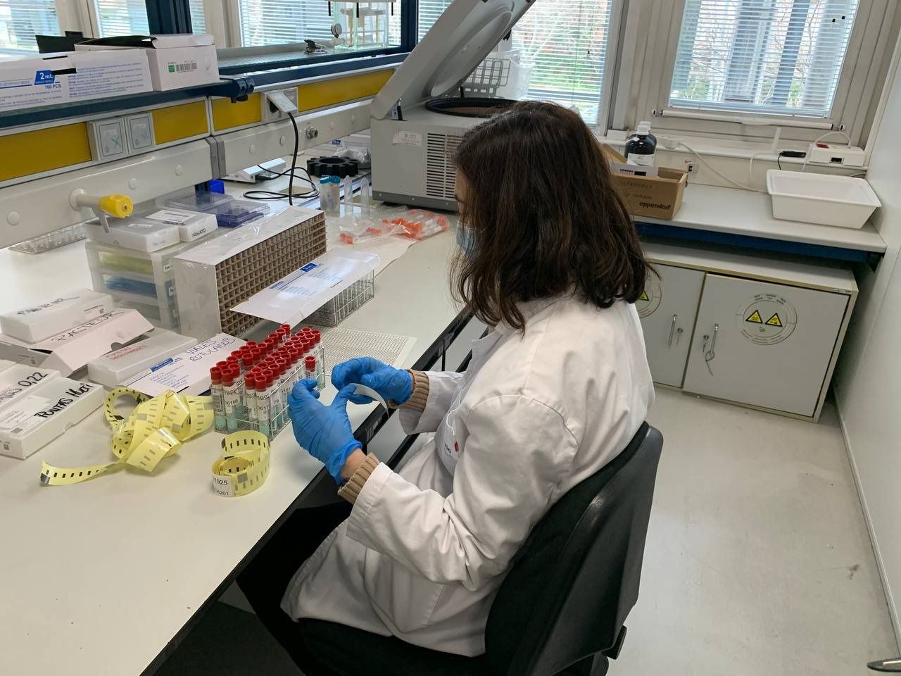 Manipulación de muestras (Foto: Pablo García)