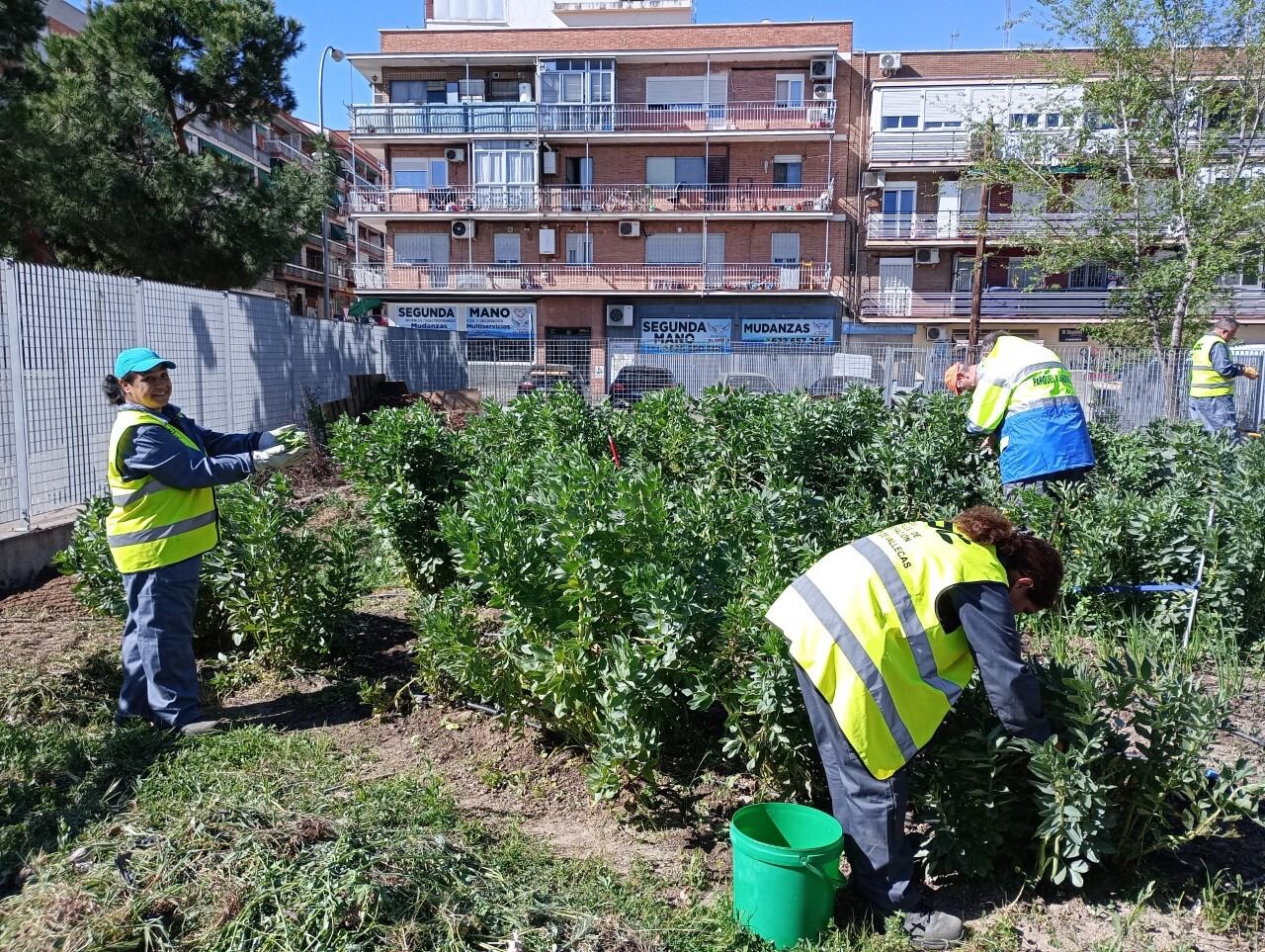 Huerto comunitario 'Utopía'