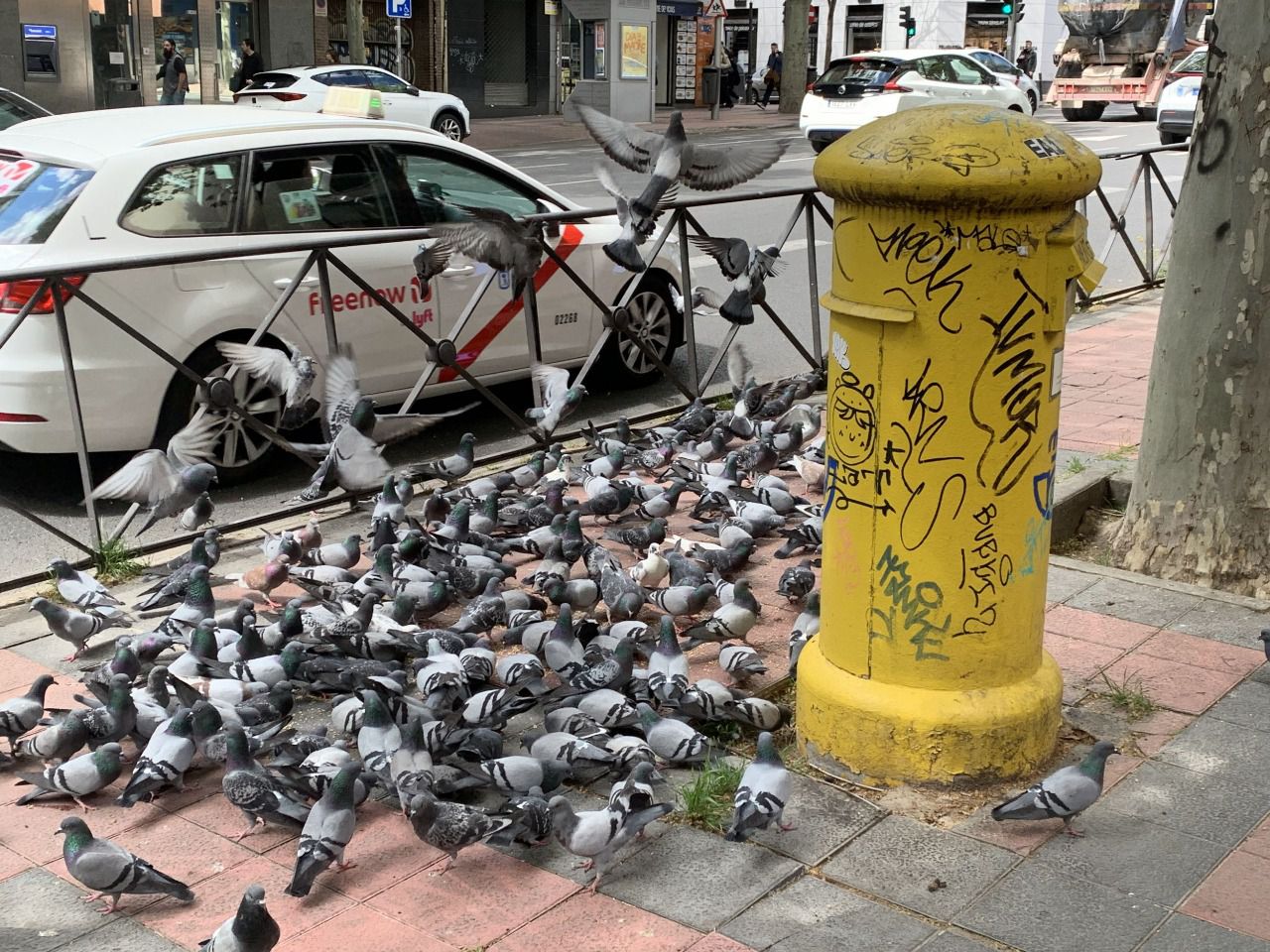 Palomas frente al centro Nuestra Señora de las Delicias (Foto: Pablo García Sanz)
