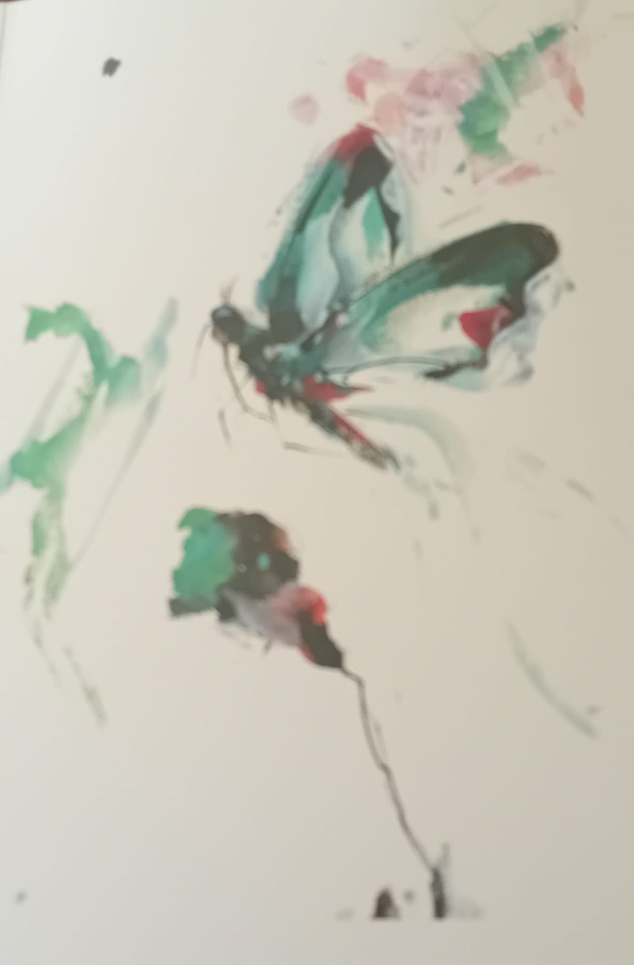 Mariposas de Jorge Rando