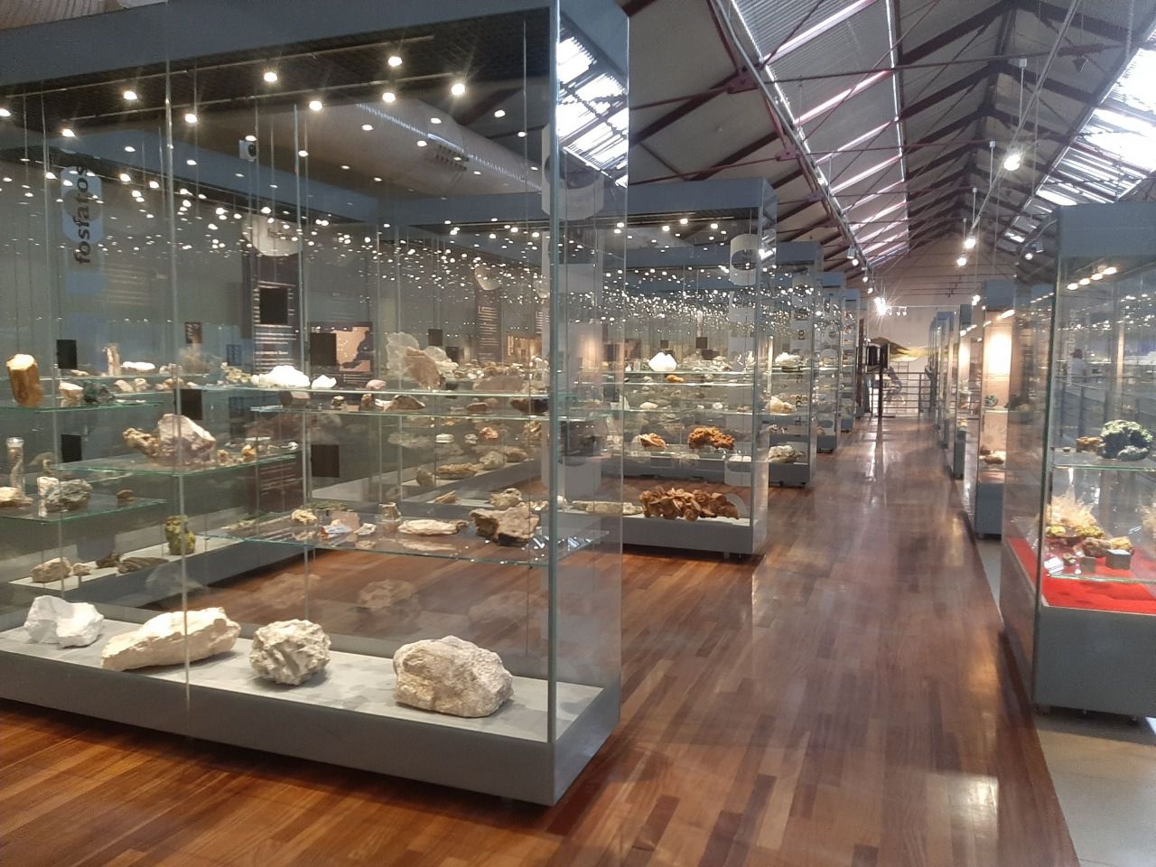 Archivo - Museo de Ciencias Naturales (Foto: Museo de Ciencias Naturales)