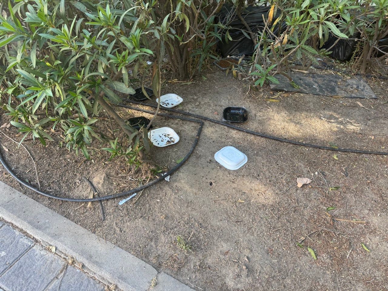 Platos de comida para animales en el barrio de Lucero